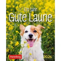 Harenberg Ein Jahr gute Laune Mini-Geschenkkalender 2026