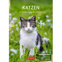 Harenberg Katzen Wochenplaner 2027 Weiß