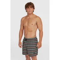 O'Neill O'neill Cali First 15'' Swimshorts grey o'neill stripe