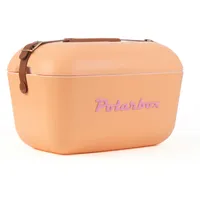 POLARBOX 114053 - Classic 20 Liter Sorbet