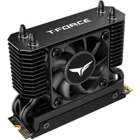 Team T-Force GE Pro 4 TB, SSD - schwarz/gold,