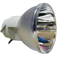 Osram Beamerlampe (nur Leuchtmittel) für OPTOMA (ersetzt: SP.73701GC01)