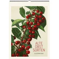 Favoritenpresse Alte Obstsorten. Wandkalender 2026