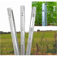 Trutzholm Z-Profil Zaunpfosten 215 cm verzinkt 10x Zaunpfähle inkl.