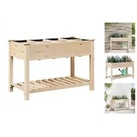 VidaXL Pflanzkasten mit Rankgitter 115x59x76 cm Massivholz Tanne