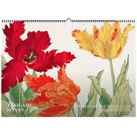 Favoritenpresse gmbh Tanigami Konan. Wandkalender 2027