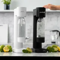 DAFI PushAir Saturator mit CO2-Kartusche + 0,7l Flasche Grau