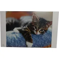 Loer & Schäfer Schreibtischunterlage mit Katze 68 x 44