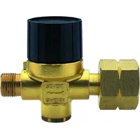 Sievert Sievert, Druckregler 1-4 bar/20 kg regelbar
