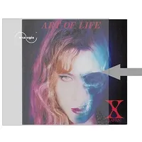 ANALOGIS Schallplatten-Außenhülleprotect it Schallplatten-Hüllen