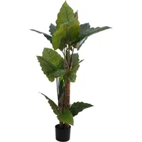 Europalms Pfeilblatt - Alocasia, Kunstpflanze, 140cm