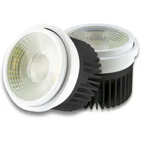 ISOLED AR111 Meat Light 30W, 35°-50° variabel, inkl. externem