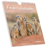 Neumann Freche Erdmännchen 2026 - Postkartenkalender 16x17 cm