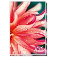 Trötsch Verlag Trötsch Taschenkalender A6 Flowers 2026