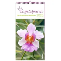 St. Benno Engelsspuren 2026