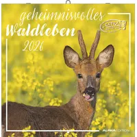 Neumann Geheimnisvolles Waldleben 2026 - Broschürenkalender 30x30 cm (30x60