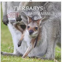 ALPHA EDITION GmbH & Co. KG Tierbabys 2026 -