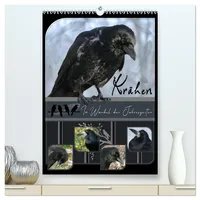 Calvendo Krähen - Im Wandel der Jahreszeiten (hochwertiger Premium