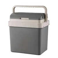 Briebe CF1151 Tragbare Elektrische Kühlbox, 21 Liter, 12V für