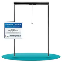 APANA Insektenschutz Fenster Rollo 190 x 200 cm anthrazit