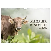 Calvendo Allgäuer Rindvieh 2026 (Wandkalender 2026 DIN A3 quer),
