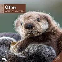 Ackermann Otter Broschürenkalender 2026 - 30x30 - Art12