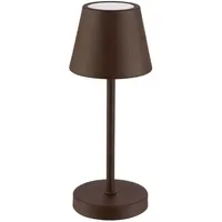 APS MERLE MICRO Braun
