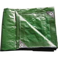 Kestek Schutzplane PE Gewebe 2x2 m grün