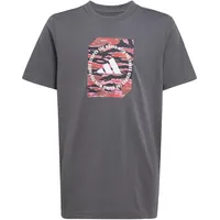 Adidas Camo Box Tshirt, Jungen JM8232 - grey five