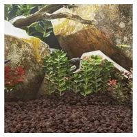 VidaXL Lavagranulat 10 kg Rot 5-8 cm
