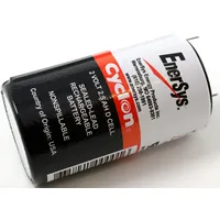 EnerSys / Hawker Bleiakku, Blei-Zelle D Cyclon 0810-0004 2V