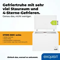 GGV Exquisit Exquisit GT300-050C