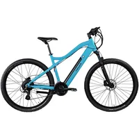 Tretwerk Commander Plus E-Bike E Mountainbike 29 Zoll Pedelec