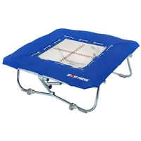 Sport-Thieme Minitramp Premium, Minitramp 112