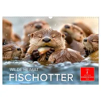 Calvendo Wilde Heimat - Fischotter (Wandkalender 2026 DIN A3