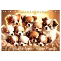 Calvendo Chihuahua-Welpen – Kleine Wunder (Tischkalender 2026 DIN A5