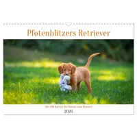 Calvendo Retriever - Mit DIR hol ich die Sterne