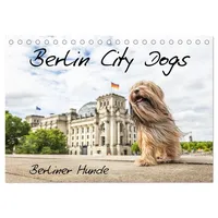Calvendo Berlin City Dogs - Berliner Hunde (Tischkalender 2026