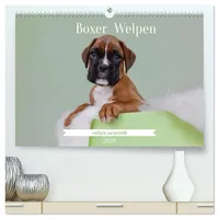 Calvendo Boxer Welpen einfach zuckersüß (hochwertiger Premium Wandkalender 2026