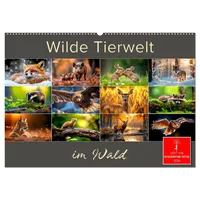 Calvendo Wilde Tierwelt im Wald (Wandkalender 2026 DIN A2
