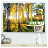 Calvendo Birkenzauber (hochwertiger Premium Wandkalender 2026 DIN A2 quer),