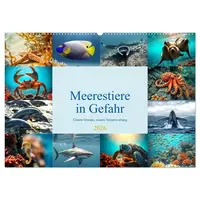 Calvendo Meerestiere in Gefahr - Unsere Ozeane, unsere Verantwortung