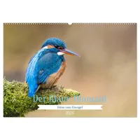 Calvendo Der blaue Diamant - Fotos vom Eisvogel (Wandkalender