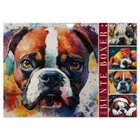 Calvendo Bunte Boxer (Wandkalender 2026 DIN A4 quer), CALVENDO