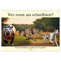 Calvendo Wer rennt am schnellsten? (Wandkalender 2026 DIN A3