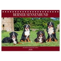 Calvendo Berner Sennenhund - Der beste Freund fürs Leben