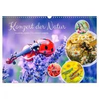 Calvendo Konzert der Natur - Insekten spielen Musikinstrumente (Wandkalender