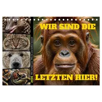 Calvendo Wir sind die Letzten hier! Wir sterben aus.