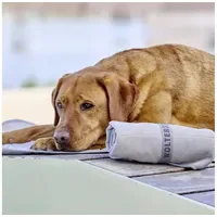 Wolters Kühlmatte Watchout 80 x 60 cm grau