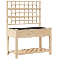 VidaXL Pflanzkasten mit Rankgitter & Ablage 115x59x152 cm Tannenholz